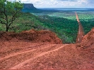 img/t_forest_road_bolivia.jpg