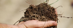 terroir.jpg